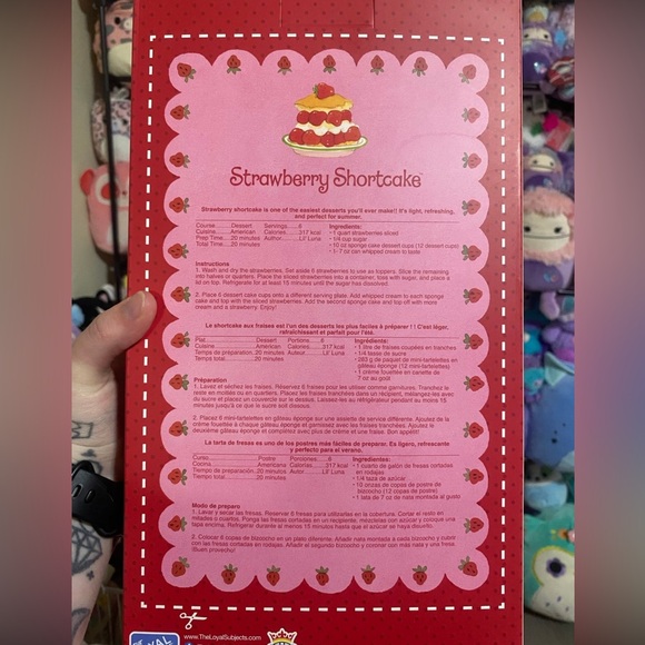 Strawberry Shortcake 14 inch Retro Classic Ragdoll Stuffed Character - Picture 4 of 5